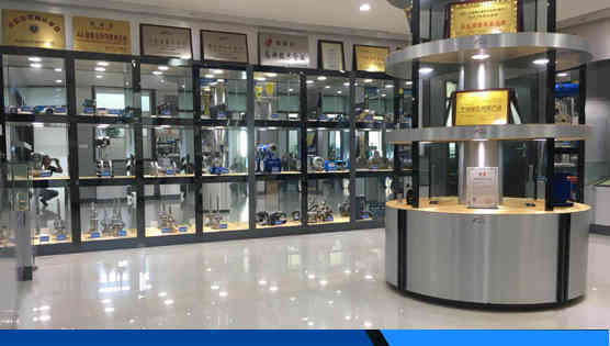 江蘇中(zhōng)儀儀表(biǎo)集團有(you)限公司(sī)