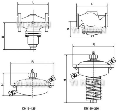 自力式流(liu)量調節閥結構(gou)